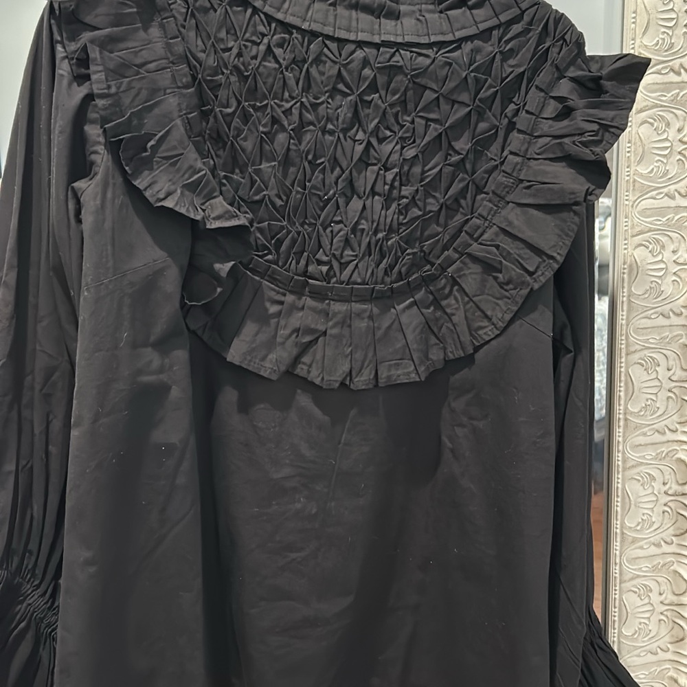 Elegant Black Ruffled Blouse